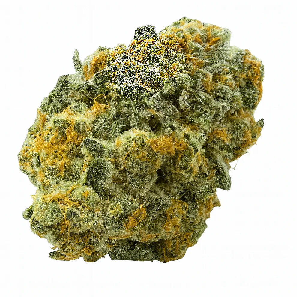 Black Zushi - The Tenco Cut