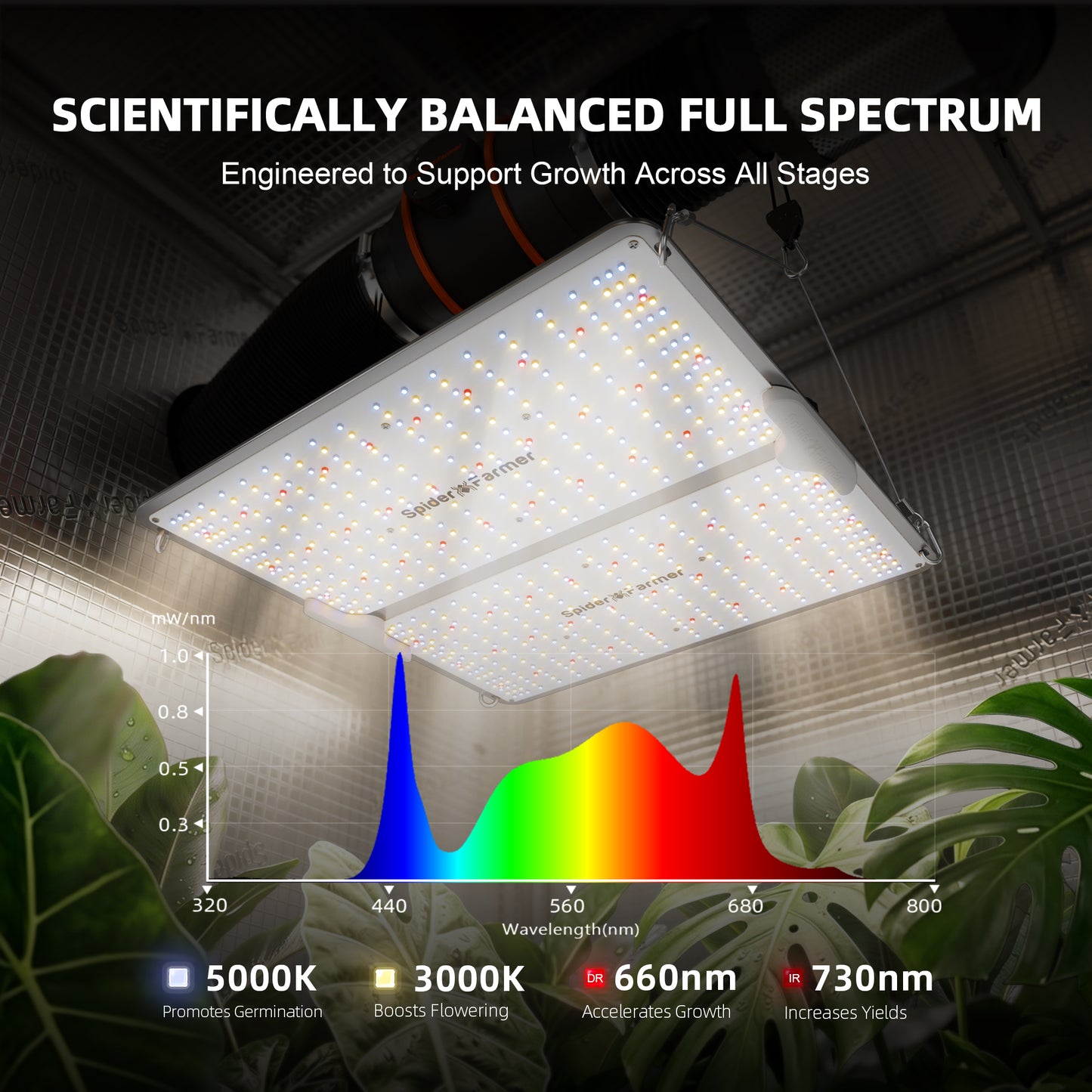 Spider Farmer SF2000Pro – 200W LED Pflanzenlampe (2026)