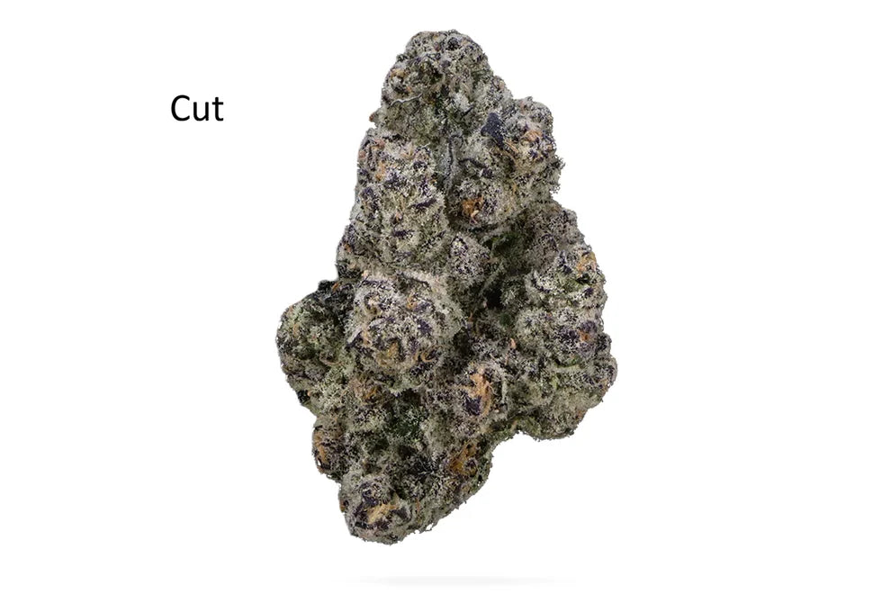 💙🦞 Blue Lobster – Main Trees Cut