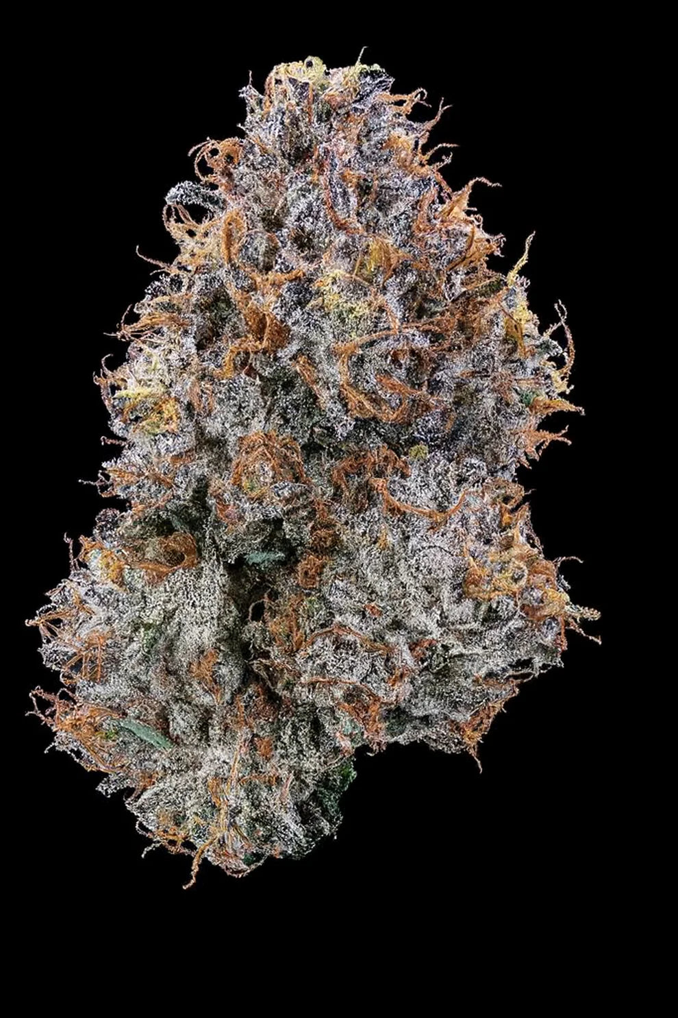 Candy Fumez - Doja Cut