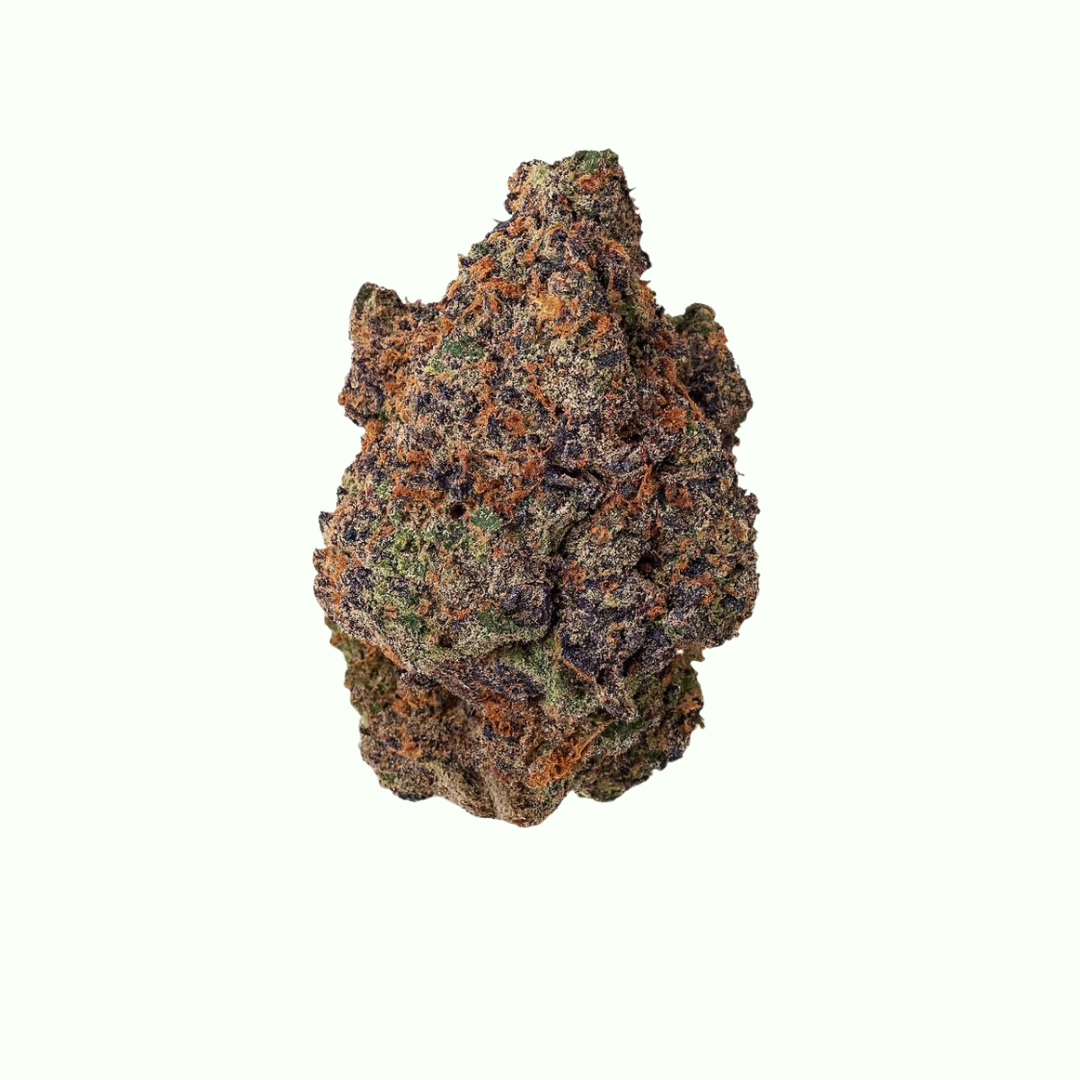 Lemon Cherry Gelato - Backpackboys