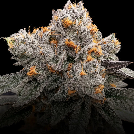 Permanent Chimera - Beleaf Premium Cut
