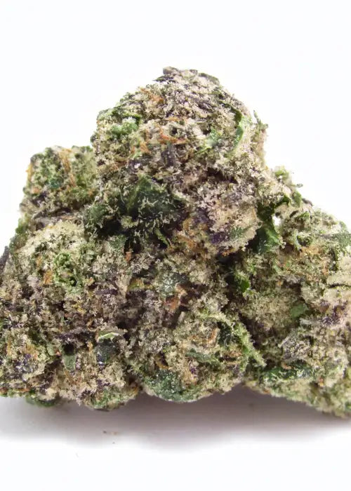 Strawberry Pave - Compound Genetics