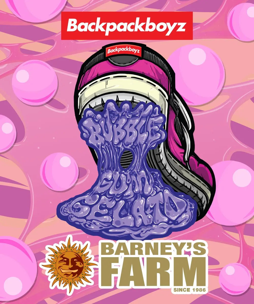 Bubblegum Gelato - Barneys Farm