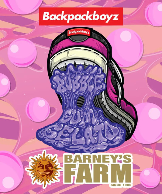 Bubblegum Gelato - Barneys Farm